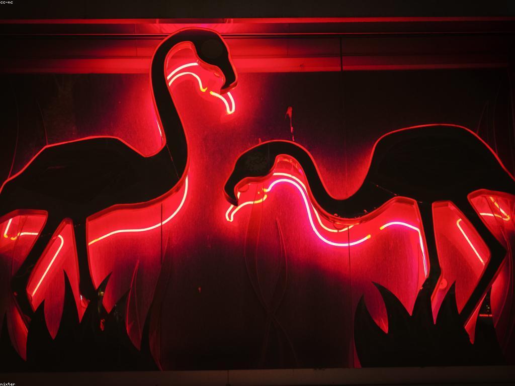 បច្ចេកវិទ្យាកាស៊ីណូ: ការប្រើប្រាស់និងអនាគត